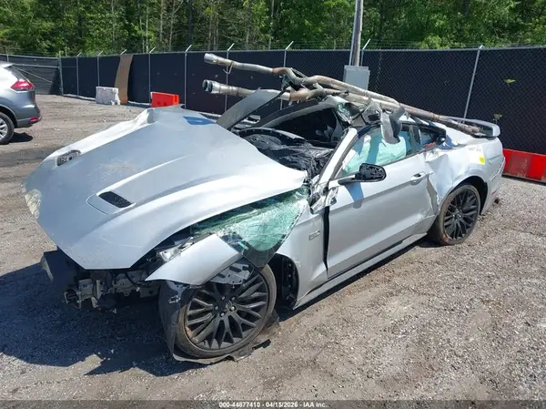 1FA6P8CF5K5117346 2019 FORD MUSTANG - Image 2