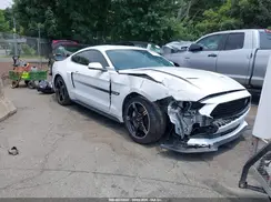 1FA6P8CF5K5124930 2019 FORD MUSTANG