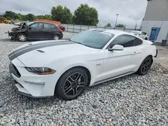 1FA6P8CF5K5125091 2019 FORD MUSTANG