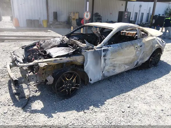 1FA6P8CF5K5132283 2019 FORD MUSTANG - Image 2