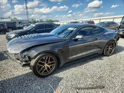 1FA6P8CF5K5138097 2019 FORD MUSTANG