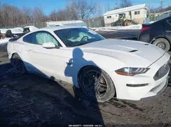 1FA6P8CF5K5147365 2019 FORD MUSTANG