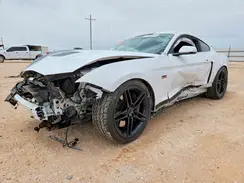 1FA6P8CF5K5151982 2019 FORD MUSTANG