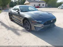 1FA6P8CF5K5154669 2019 FORD MUSTANG