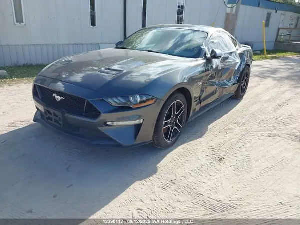 1FA6P8CF5K5154669 2019 FORD MUSTANG - Image 2