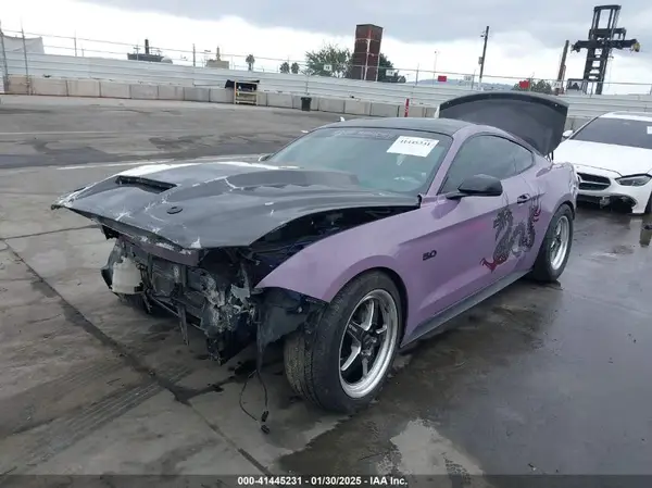 1FA6P8CF5K5168135 2019 FORD MUSTANG - Image 2