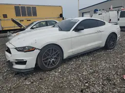 1FA6P8CF5K5168538 2019 FORD MUSTANG