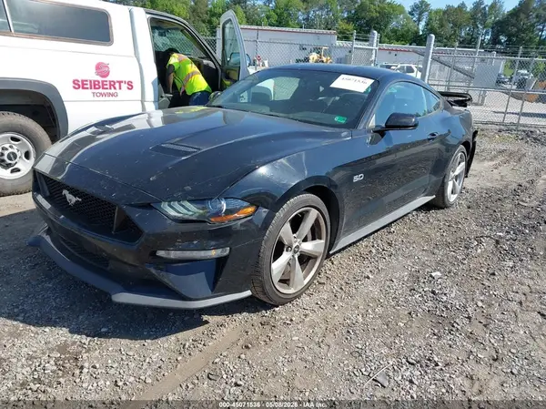 1FA6P8CF5K5187235 2019 FORD MUSTANG - Image 2