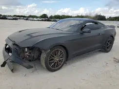 1FA6P8CF5K5197571 2019 FORD MUSTANG