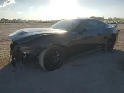 1FA6P8CF5R5404969 2024 FORD MUSTANG