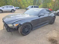1FA6P8CF6G5300682 2016 FORD MUSTANG