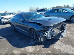 1FA6P8CF6K5120384 2019 FORD MUSTANG