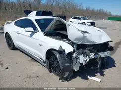 1FA6P8CF6K5152462 2019 FORD MUSTANG