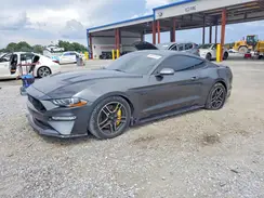 1FA6P8CF6K5200428 2019 FORD MUSTANG