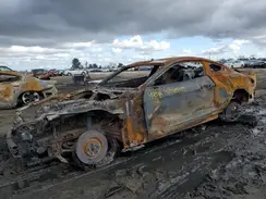 1FA6P8CF6L5173491 2020 FORD MUSTANG