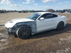 1FA6P8CF6M5151007 2021 FORD MUSTANG
