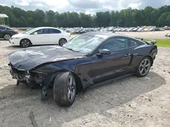 1FA6P8CF6P5300634 2023 FORD MUSTANG