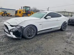 1FA6P8CF6P5301301 2023 FORD MUSTANG