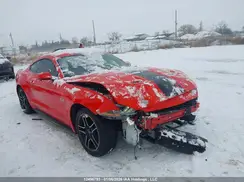 1FA6P8CF6P5305171 2023 FORD MUSTANG