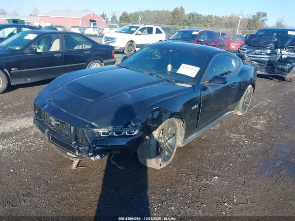 1FA6P8CF6R5420503 2024 FORD MUSTANG - Image 2