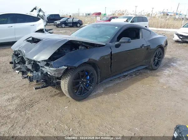 1FA6P8CF6R5422266 2024 FORD MUSTANG - Image 2