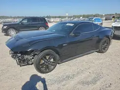 1FA6P8CF6R5435986 2024 FORD MUSTANG