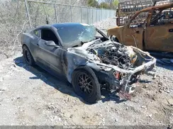 1FA6P8CF7H5230353 2017 FORD MUSTANG