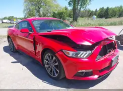 1FA6P8CF7H5262686 2017 FORD MUSTANG