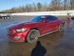 1FA6P8CF7H5353294 2017 FORD MUSTANG