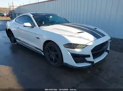 1FA6P8CF7K5102167 2019 FORD MUSTANG