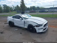 1FA6P8CF7K5134651 2019 FORD MUSTANG
