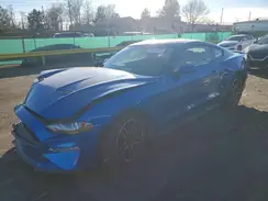 1FA6P8CF7K5144161 2019 FORD MUSTANG