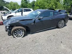 1FA6P8CF7R5425421 2024 FORD MUSTANG
