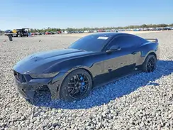 1FA6P8CF7R5428495 2024 FORD MUSTANG