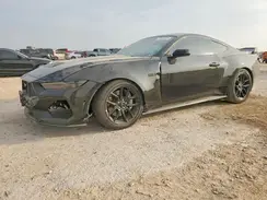 1FA6P8CF7R5433101 2024 FORD MUSTANG