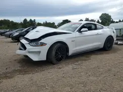 1FA6P8CF8K5117020 2019 FORD MUSTANG