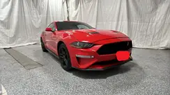 1FA6P8CF8K5118569 2019 FORD MUSTANG