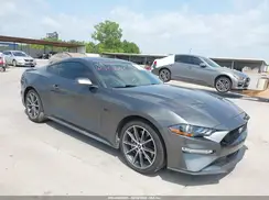 1FA6P8CF8K5146629 2019 FORD MUSTANG