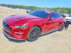 1FA6P8CF8K5157100 2019 FORD MUSTANG