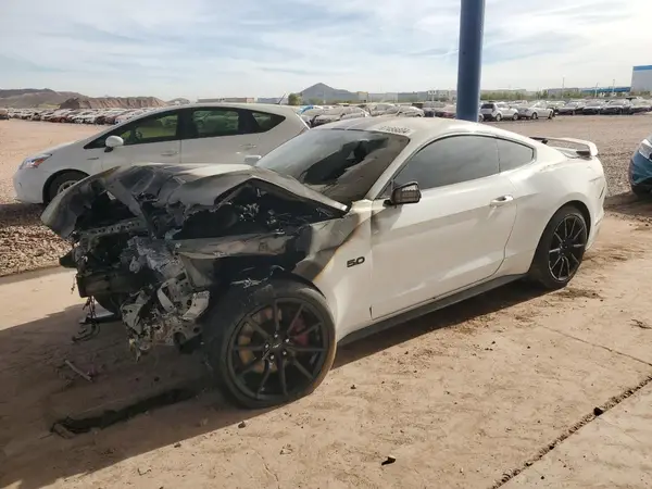 1FA6P8CF8K5161325 2019 FORD MUSTANG - Image 1
