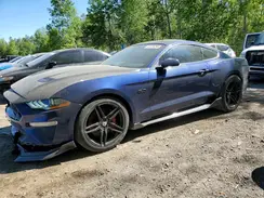 1FA6P8CF8K5162605 2019 FORD MUSTANG