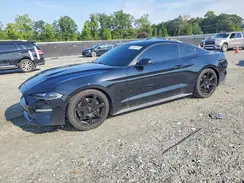 1FA6P8CF8K5166637 2019 FORD MUSTANG