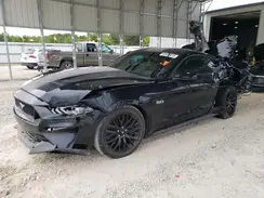 1FA6P8CF8K5202388 2019 FORD MUSTANG