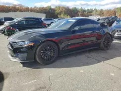 1FA6P8CF8L5174335 2020 FORD MUSTANG