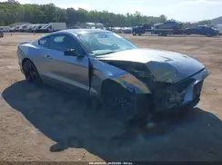 1FA6P8CF8M5116856 2021 FORD MUSTANG