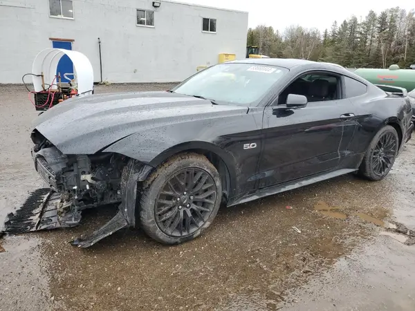 1FA6P8CF8P5305995 2023 FORD MUSTANG - Image 1