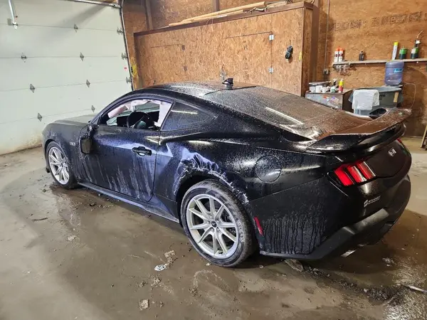 1FA6P8CF8R5422060 2024 FORD MUSTANG - Image 2