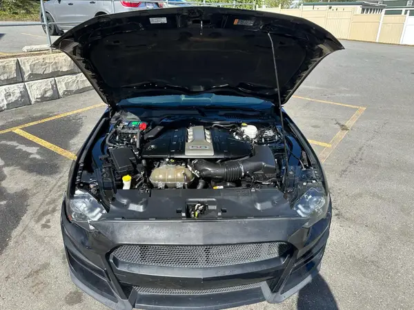 1FA6P8CF9J5102136 2018 FORD MUSTANG - Image 8