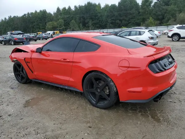 1FA6P8CF9K5111789 2019 FORD MUSTANG - Image 2