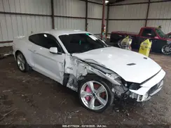 1FA6P8CF9K5118581 2019 FORD MUSTANG